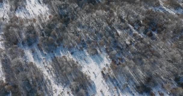 Vue Aérienne Plateau Zir Dans Région Lika Saison Hivernale Dans — Video