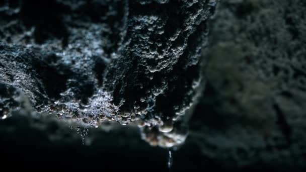Slow Motion Dolly Shot Drops Dripping Rocks Cave Croatia — Stock Video