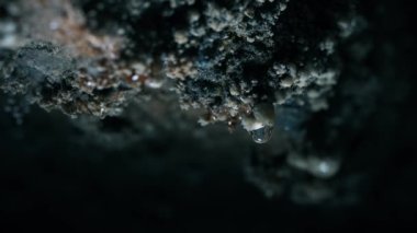 A drop falls at the rock of the opening of a cave in Croatia