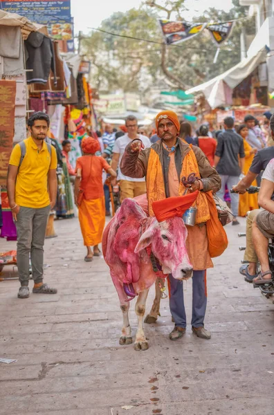 Pushkar Índia Março 2018 Cena Colorida Sadhu Posa Com Vaca — Fotografia de Stock