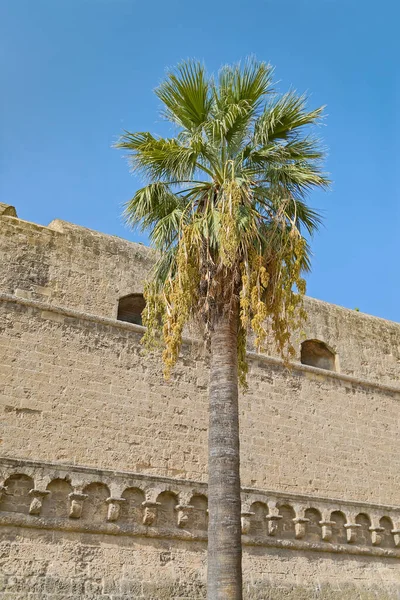 Castillo Suabia Castello Svevo Hito Medieval Apulia Bari Italia — Foto de Stock