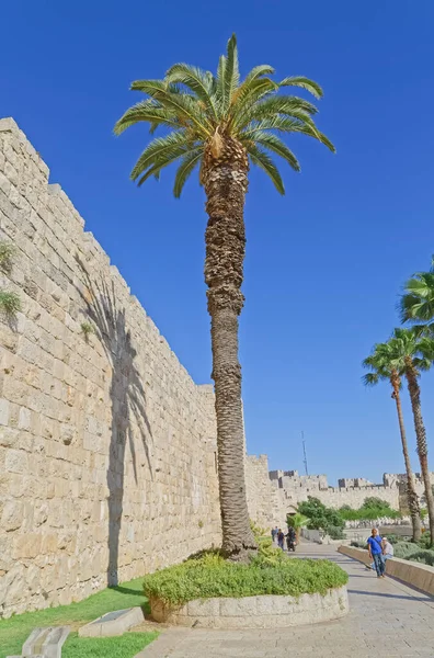 Jerusalem Israel May 2016 Western Edge Jerusalem Old City Palm — Stock Photo, Image