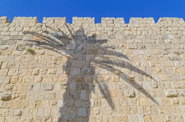 City Walls Palm Tree Shadow Jerusalem Israel — Stock Photo, Image