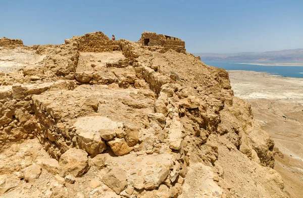 Masada Israel Мая 2016 Года Туристы Посетившие Руины Древней Крепости — стоковое фото