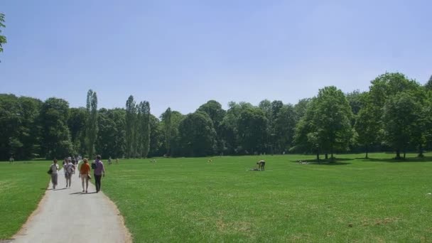 Munich Alemanha Junho 2015 Pessoas Desfrutando Dia Ensolarado Jardim Inglês — Vídeo de Stock