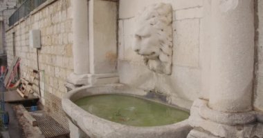 Hırvatistan 'ın Dubrovnik semtindeki Ploce semtindeki tarihi taş çeşme başı, Aslanların ağzından bir su akıntısı akıyor.