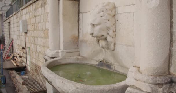 Strumień Wody Wypływa Paszczy Lwów Historycznej Kamiennej Fontanny Ukrytej Przed — Wideo stockowe
