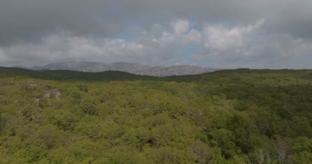 Drone Widok Lotu Ptaka Nad Wzgórzem Srd Pokryte Chmurami Deszczowy — Wideo stockowe