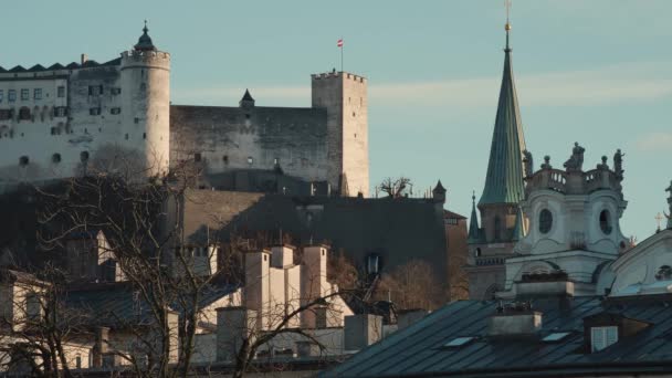 Riviermeeuwen Vliegen Voor Beroemde Vesting Hohensalzburg Salzburg Oostenrijk — Stockvideo
