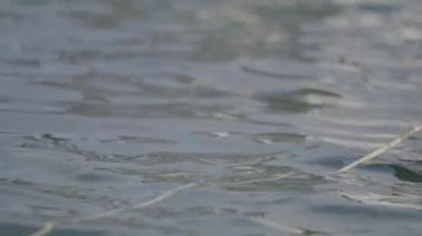 Hırvatistan 'ın Lovran kasabası yakınlarındaki Istrian sahilinde beyaz ip. Yavaş çekim videosu.