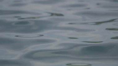 Hırvatistan 'ın Lovran kasabası yakınlarındaki Istrian sahilinde küçük dalgalar. Yavaş çekim videosu.