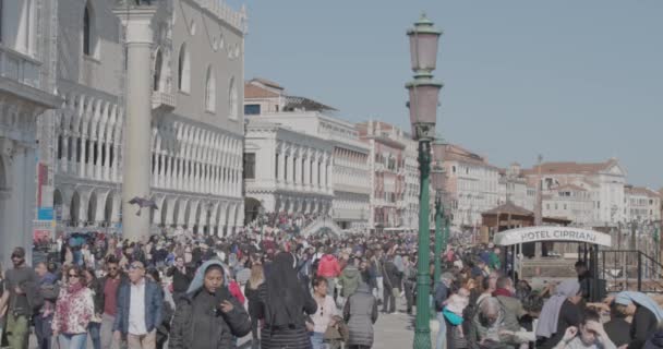 Venezia Italia Aprile 2023 Persone Che Passano Traghetto Gondole Molo — Video Stock