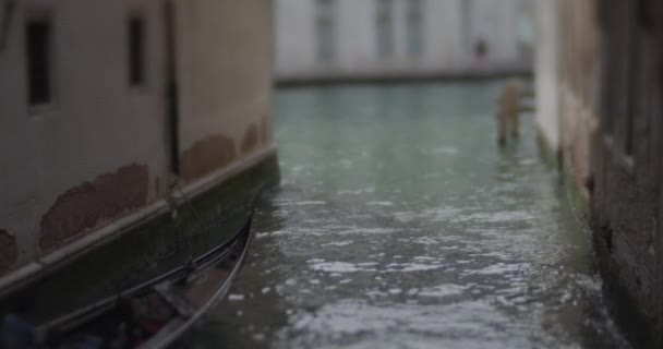 Venecia Italia Abril 2023 Góndola Saliendo Del Estrecho Canal Lateral — Vídeo de stock