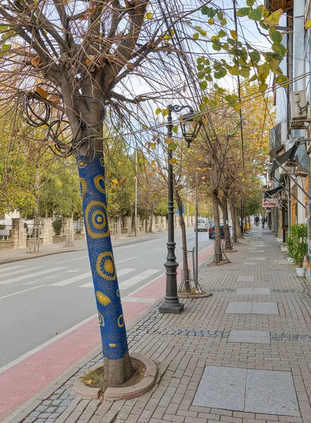 Prizren Kosowo Listopad 2022 Kufer Drzewa Ubrany Szydełkową Koszulę Przed — Zdjęcie stockowe