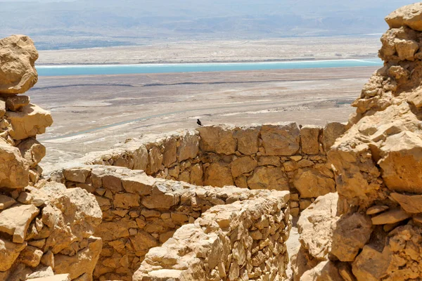 Östlicher Aussichtspunkt Teil Der Masada Ruinen Der Antiken Festung Der — Stockfoto