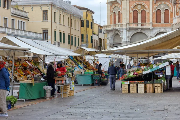 Padua Italien April 2023 Morgonjäkt Piazza Delle Erbe Med Lokalbefolkningen — Stockfoto