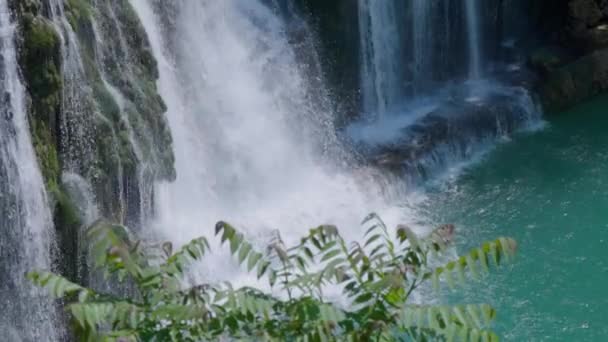 プラヴァ川とヴァルバ川の流入の詳細 プラヴァ滝 ジャージス — ストック動画
