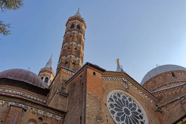 Basilica Saint Anthony Piazza Del Santo Padua Italy — Stock Photo, Image