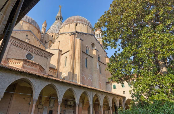 Basilikan Saint Anthony Från Atrium Piazza Del Santo Padua Italien — Stockfoto