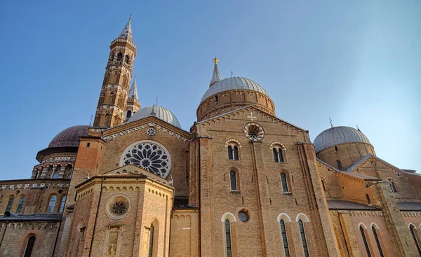 Aziz Anthony Bazilikası Padua Talya Daki Piazza Del Santo — Stok fotoğraf