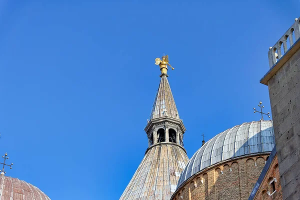 Basilica Sant Antonio Dettaglio Angelo Cima Piazza Del Santo Padova — Foto Stock