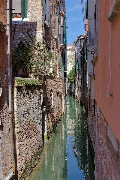 Przechwytywanie Pięknych Fasad Domów Wzdłuż Weneckiego Kanału Demonstrujące Ponadczasowy Urok — Zdjęcie stockowe