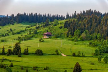 Bosna-Hersek 'in Travnik kentindeki Vlasiç Dağı eteklerinde yuva yapmış yemyeşil çayırların nefes kesici panoramik manzarası.