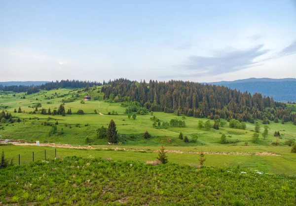 Bosna-Hersek 'in Travnik kentindeki Vlasiç Dağı eteklerinde yuva yapmış yemyeşil çayırların nefes kesici panoramik manzarası.