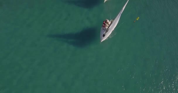 Croatia 2019年6月24日 穏やかな海を渡るレガッタ船の空想的な眺め — ストック動画