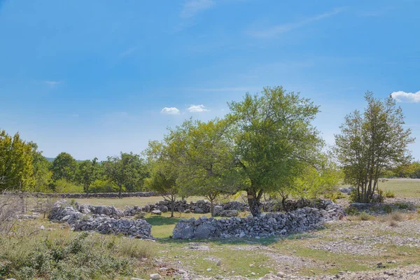 Stone Wall Circle Slope Mostar Plateau Historic Livestock Containment Garden — Stock Photo, Image
