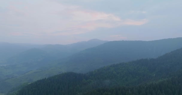 ヴラシック山の麓にある火の森のミスティで神秘的な空中飛行機で トゥルベ近くの谷に長い低雲が広がっています — ストック動画