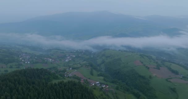 Survol Aérien Sinistre Mystique Une Forêt Sapins Pied Montagne Vlasic — Video