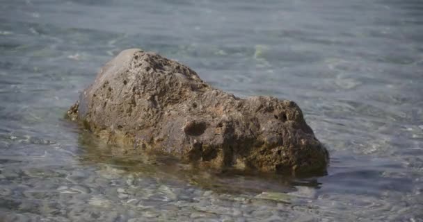 科米萨海滩浅水中的火山岩 小波缓缓地冲撞着它 显示了威斯岛的火山起源 — 图库视频影像