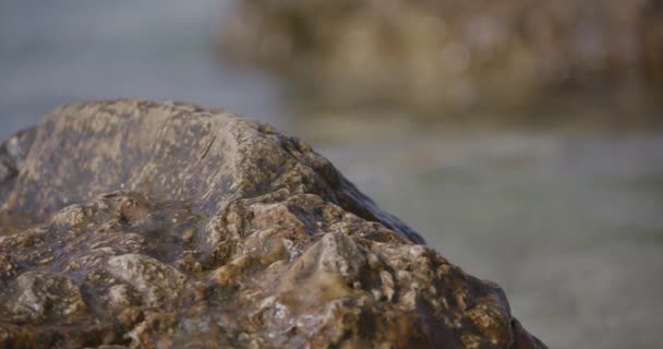 Гладкая Вулканическая Скала Мелководье Поцелованная Морем Небольшие Волны Врезаются Замедленной — стоковое видео