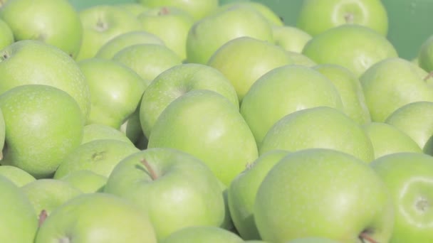 Spokojna Scena Świeżo Zebranych Dojrzałych Zielonych Jabłek Starannie Wyrównanych Pod — Wideo stockowe