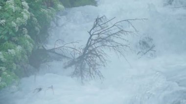 Travnik 'teki Plava Voda ya da Blue Water akıntısı tarafından oluşturulan torrentin canlı bir yavaş çekim görüntüsü, pitoresk bir nehir oluşturuyor..
