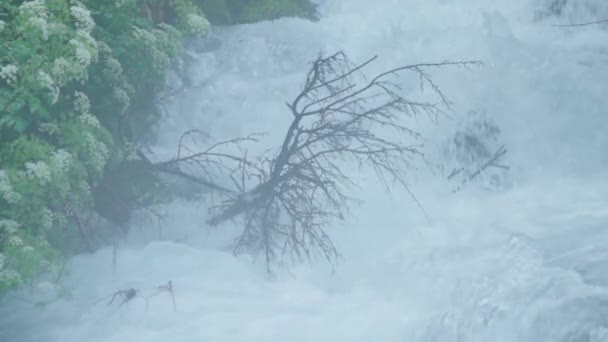 Une Capture Vive Ralenti Torrent Créé Par Ruisseau Plava Voda — Video
