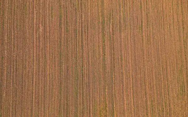 Luftaufnahme Endloser Felder Bei Beli Manastir Slawonien Kroatien — Stockfoto