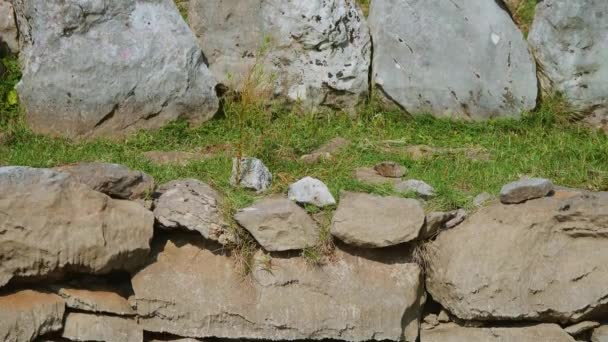 位于克罗地亚斯普利特附近拉奇奇斯古址的罗马水井墙的细节 — 图库视频影像
