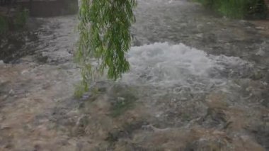 Travnik 'teki Mavi Su pınarının sakin akışı, bu doğal kaynağın saflığını vurgulayan yavaş çekim etkisiyle zamanda güzelce donmuştur..