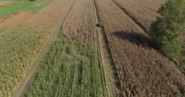 Sisak yakınlarındaki bir tarlada mısır toplayan bir traktörün üzerindeki hasatçının kırsal bir sahnesi tarımsal faaliyetleri vurguluyor..
