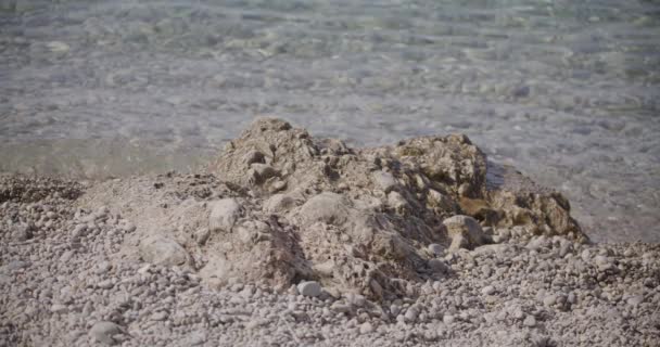克罗地亚科米萨海滩浅水区火山岩的细节 小波涛缓缓冲击着它 在Vis岛上的海滩上运动 — 图库视频影像