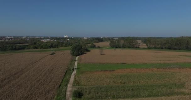 収穫の準備ができている成熟したトウモロコシ畑の黄金色の色合いは クロアチアのシサク近くの絵のように静かな川の流れを補完します — ストック動画