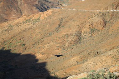 Fuerteventura Adası, Kanarya Adaları 'ndaki manzara