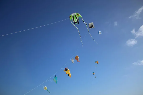 Kite Festival Fuerteventura — Stock Photo, Image