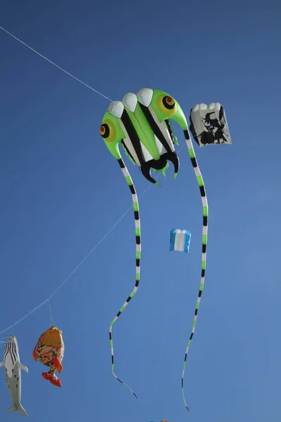 フエルテベントゥラの凧祭り — ストック写真
