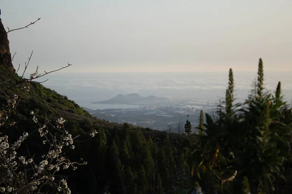 Uitzicht Stad Van Het Eiland Van Canarische Eilanden — Stockfoto