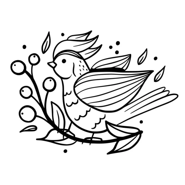 Bird Pájaro Primavera Colorear Boceto Dibujo Manual Para Diseño — Archivo Imágenes Vectoriales