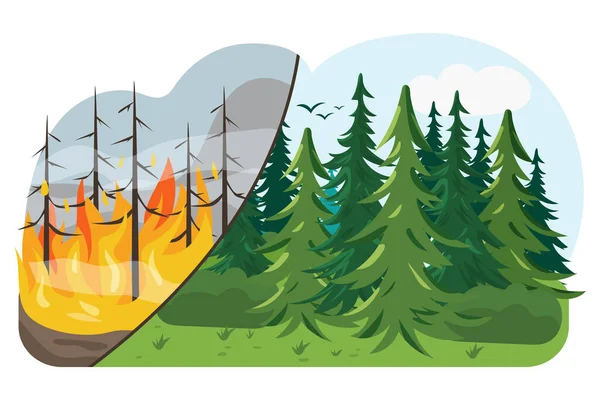 Wald Vor Und Nach Dem Brand Waldbrand Das Klima Verändert — Stockvektor
