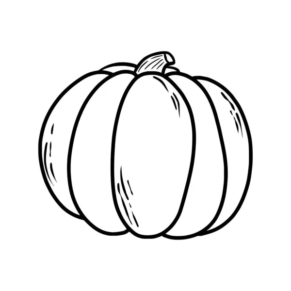 Pumpkin Doodle Hand Drawing Vector Illustration Modern Style Festive Pumpkin — Stock Vector